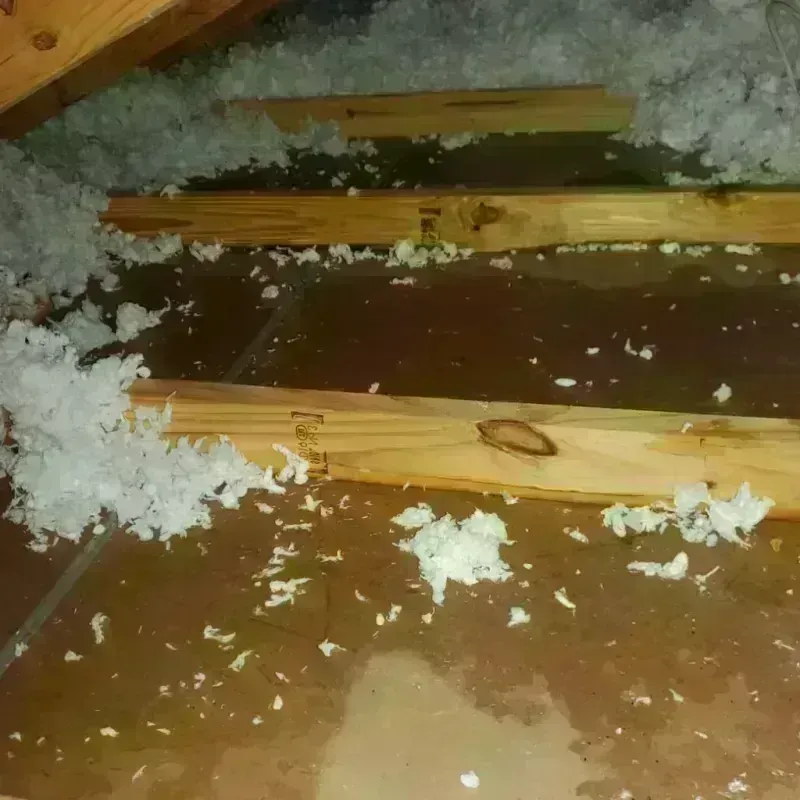 Attic Water Damage in Marshall County, MS